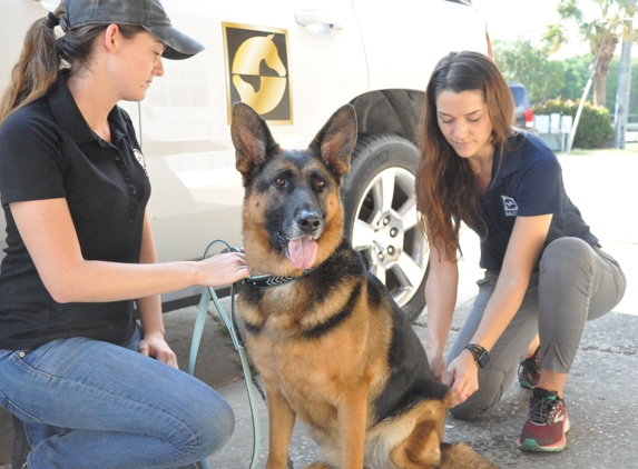 Palm Beach Equine Clinic - Wellington, FL