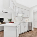 Caveness Farms Apartment Homes - Apartments