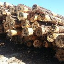DeSoto Treated Materials - Home Builders