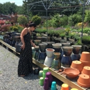 Nalls Produce - Fruit & Vegetable Markets