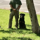 Specialty Dog Training