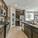 Century Communities - the Woodlands Hills - Real Estate Developers