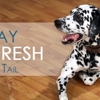 Mobile Pet Wash LLC gallery