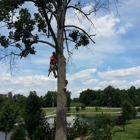 Shade Shifters Tree Removal