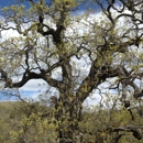 Joseph D. Grant County Park - Parks