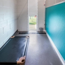 Pet Paradise - Hostels