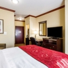 Comfort Suites Central gallery