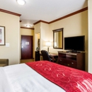 Comfort Suites Corpus Christi Central - Lodging