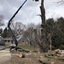 B W Tree Service - Tree Service