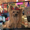 GiGi's Pet Market gallery