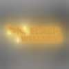Flash Wellness gallery