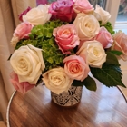 Arden Park Florist & Gift Gallery