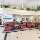 Quality Inn & Suites Irvine Spectrum - Motels