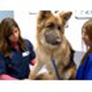 VCA Flannery Animal Hospital - Veterinarians