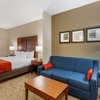 Comfort Inn & Suites gallery