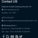 Elephant Carpet Cleaning Houston TX - Carpet & Rug Cleaners