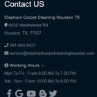 Elephant Carpet Cleaning Houston TX