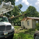 Parker Tree & Excavation Services  LLC - Tree Service