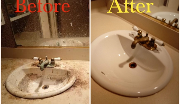 Divine House Cleaning, Commercial & Office Cleaning Service - Tigard, OR. Sink Deep Clean