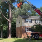 Marshall's Tree Service