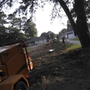 East Coast Trimmers Tree Service - Arborists