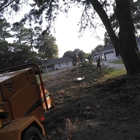 East Coast Trimmers Tree Service