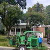 Stringfellow's Tree Service gallery