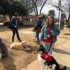 Comprehensive Pet Therapy, Inc.