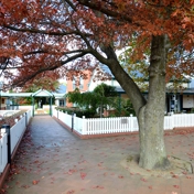 Gallery Image Number 6
