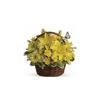 Ravalli Floral & Gift gallery