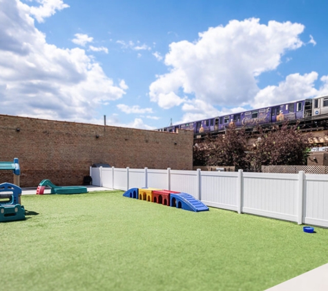 Pupstars Pet Care - Chicago, IL. Over 10,000 square feet of indoor & outdoor play spaces