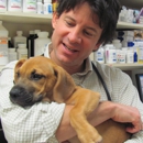 Animal Ark Veterinary Hospital - Veterinarians