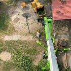 T & T Tree Service