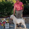 Jamestown Boarding Kennels gallery