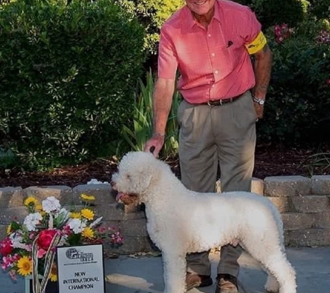 Jamestown Boarding Kennels - Jamestown, CA. AKC Grand Bronze Champion: FEBO