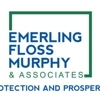 Emerling, Floss, Murphy & Associates gallery