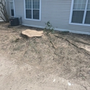 Stump Grinding Services - Tree Service