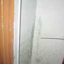 Apex Mold Specialists - Water Damage Restoration
