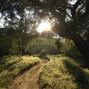 Charmlee Wilderness Park - Parks