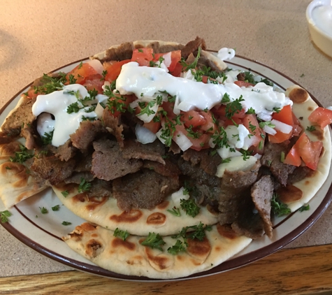 Fresh Food Deli - Medina, OH. The best Gyro I found anywhere!