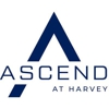 Ascend at Harvey gallery