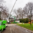 Flower City Tree - Arborists