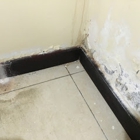 Ace Mold Remediation Dallas