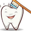 Bayside Dental Group gallery