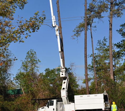 Tosa Tree Care - Wauwatosa, WI