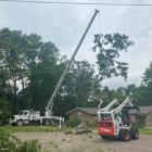 Arbor Pro Tree Service Company