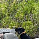 Riverstone Outfitters - Boat Rental & Charter