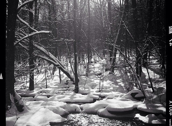 Ward Pound Ridge Reservation - Pound Ridge, NY