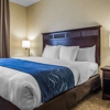 Comfort Suites Lake Geneva East gallery