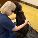 VCA Angel Animal Hospital - Veterinarians